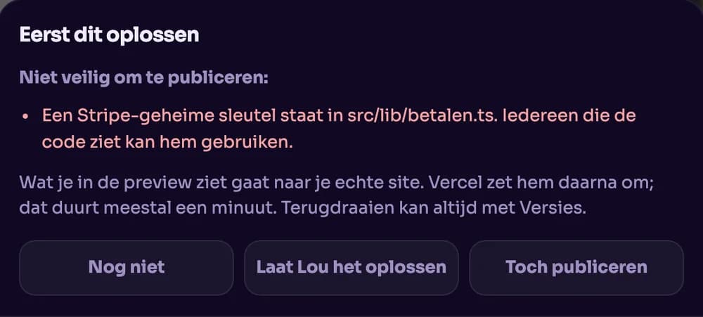 Eerst dit oplossen: een geheime Stripe-sleutel in de code, met Laat de assistent het oplossen.