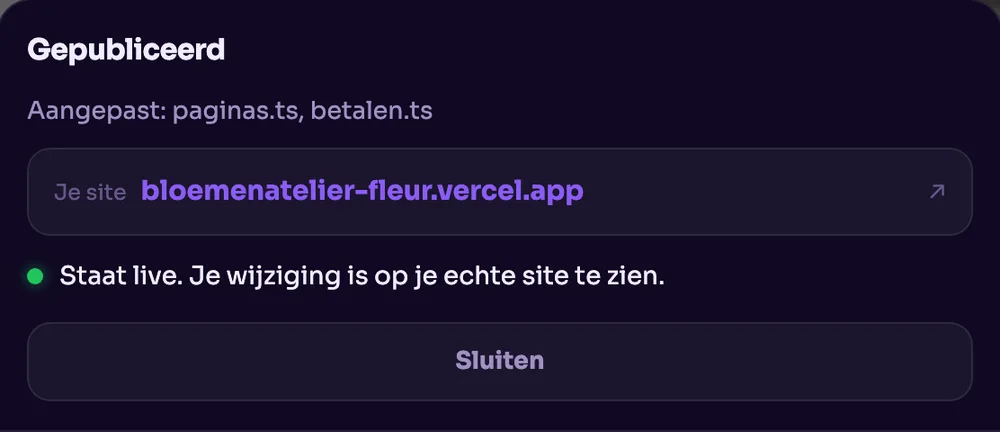 Gepubliceerd: de site staat live op het eigen Vercel-adres.